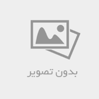 بیوگرافی و عکس شبنم فرشاد جو